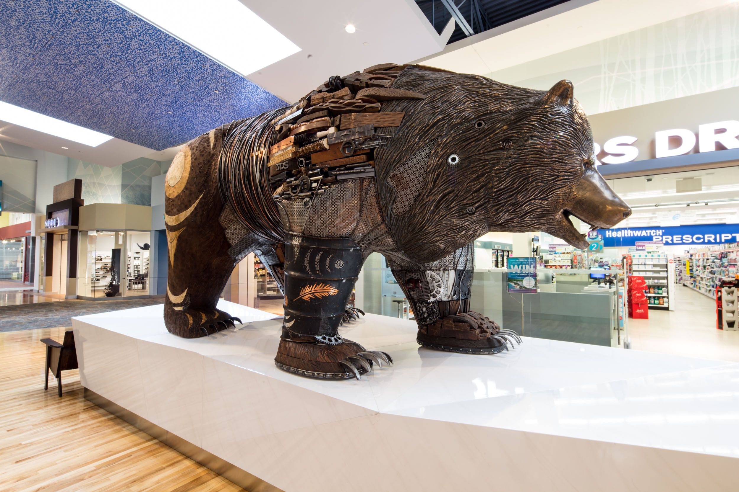 Bear